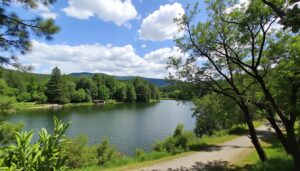 découvrez comment jouer au live baccarat grâce à notre guide complet adapté aux débutants et aux experts. maîtrisez les règles, les stratégies et profitez d'une expérience de jeu immersive en direct.