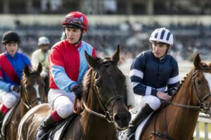 découvrez topturf, votre expert en sélection de chevaux pour le quinté, et boostez vos pronostics grâce à nos analyses précises et conseils avisés.