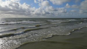 découvrez les nombreux avantages de jouer sur duelz (duelzcom) : une plateforme ludique, sécurisée et pleine de surprises pour tous les passionnés de jeux en ligne.