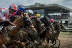 découvrez les partants du quinté d'aujourd'hui et ne manquez pas cette opportunité unique de parier sur les meilleurs chevaux pour maximiser vos gains.