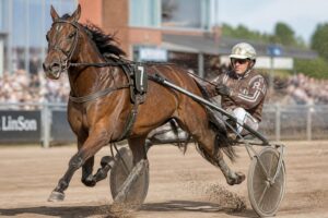 découvrez les stratégies gagnantes pour parier efficacement sur le départ volté dans les courses de trot et maximisez vos chances de succès.